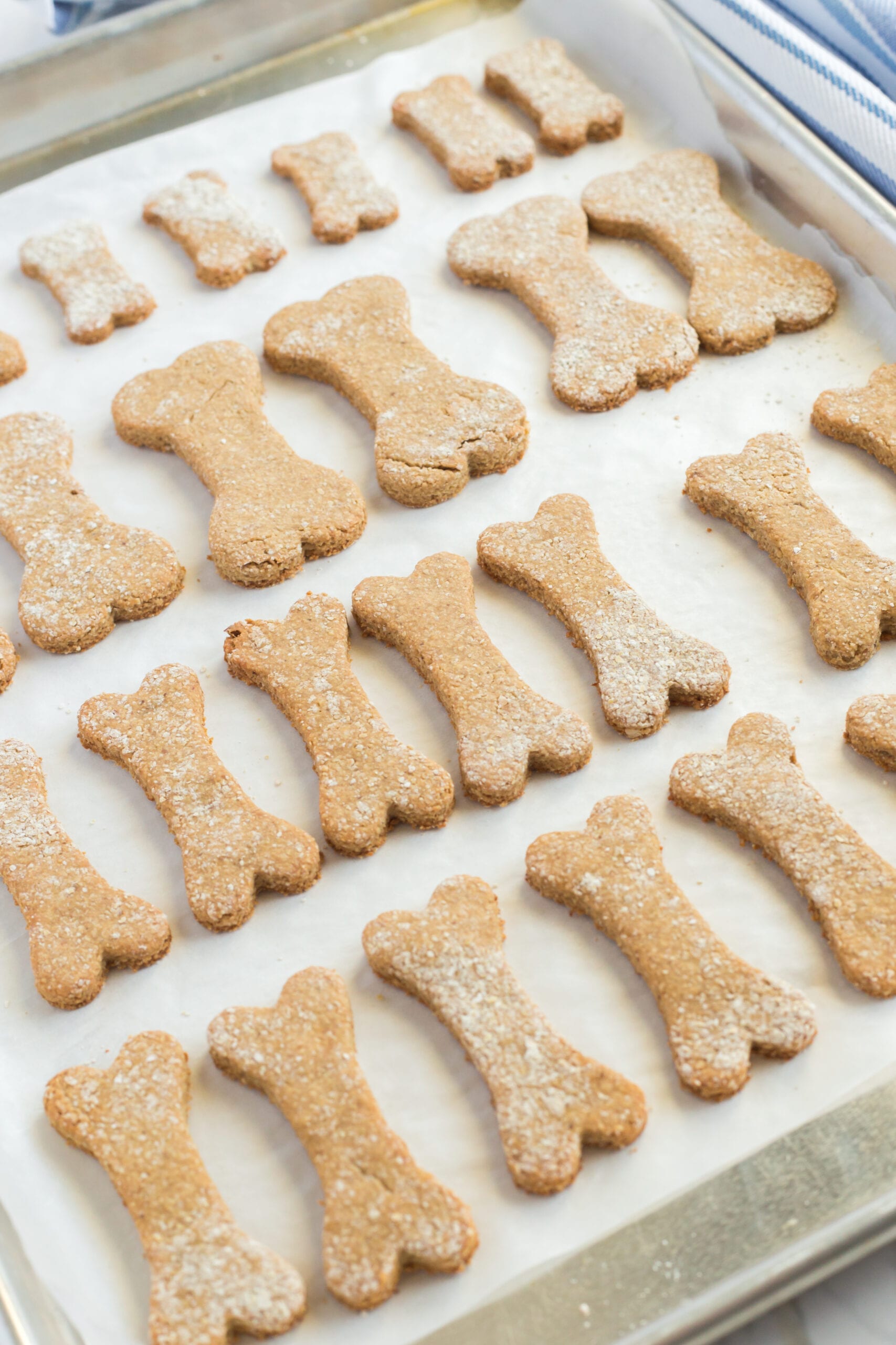 Peanut Butter Banana Dog Cookies Tastes of Homemade