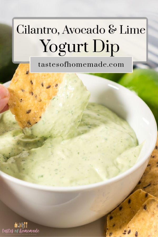 Cilantro Avocado Yogurt Dressing Tastes of Homemade