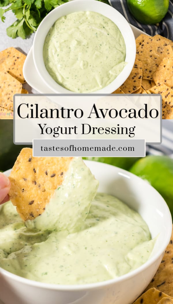 Cilantro Avocado Yogurt Dressing Tastes of Homemade