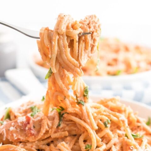 Image for Instant Pot Creamy Chicken Spaghetti