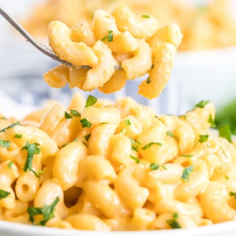 Bite of mac and cheese on a fork