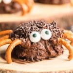 Close up of frosted brownie and candy eyes.
