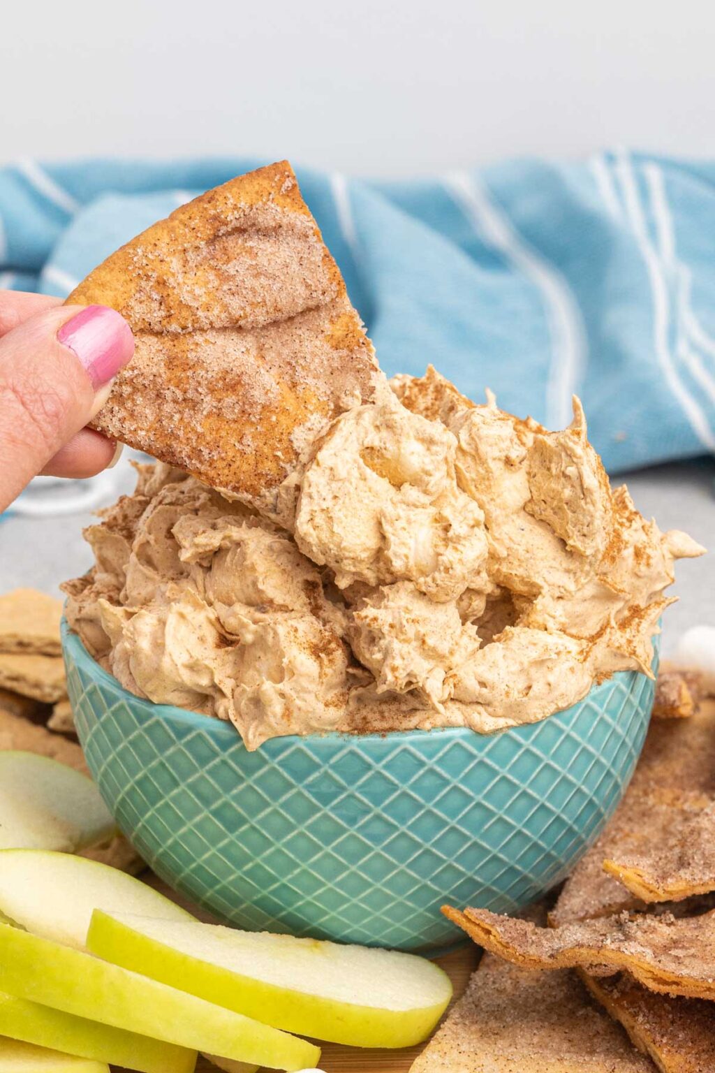 Baked Cinnamon Sugar Pita Chips - Tastes of Homemade
