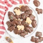 A plate of chocolate covered animal cracker cookies.