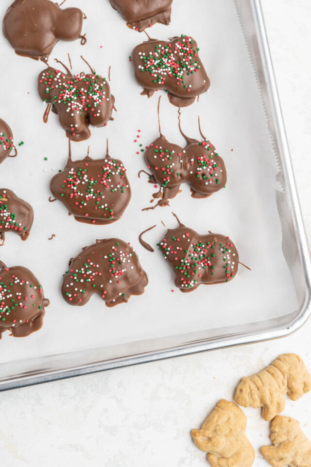 Chocolate Covered Animal Crackers Recipe Tastes of Homemade