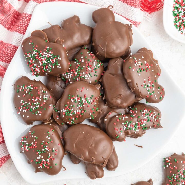Chocolate Covered Animal Crackers Recipe Tastes of Homemade