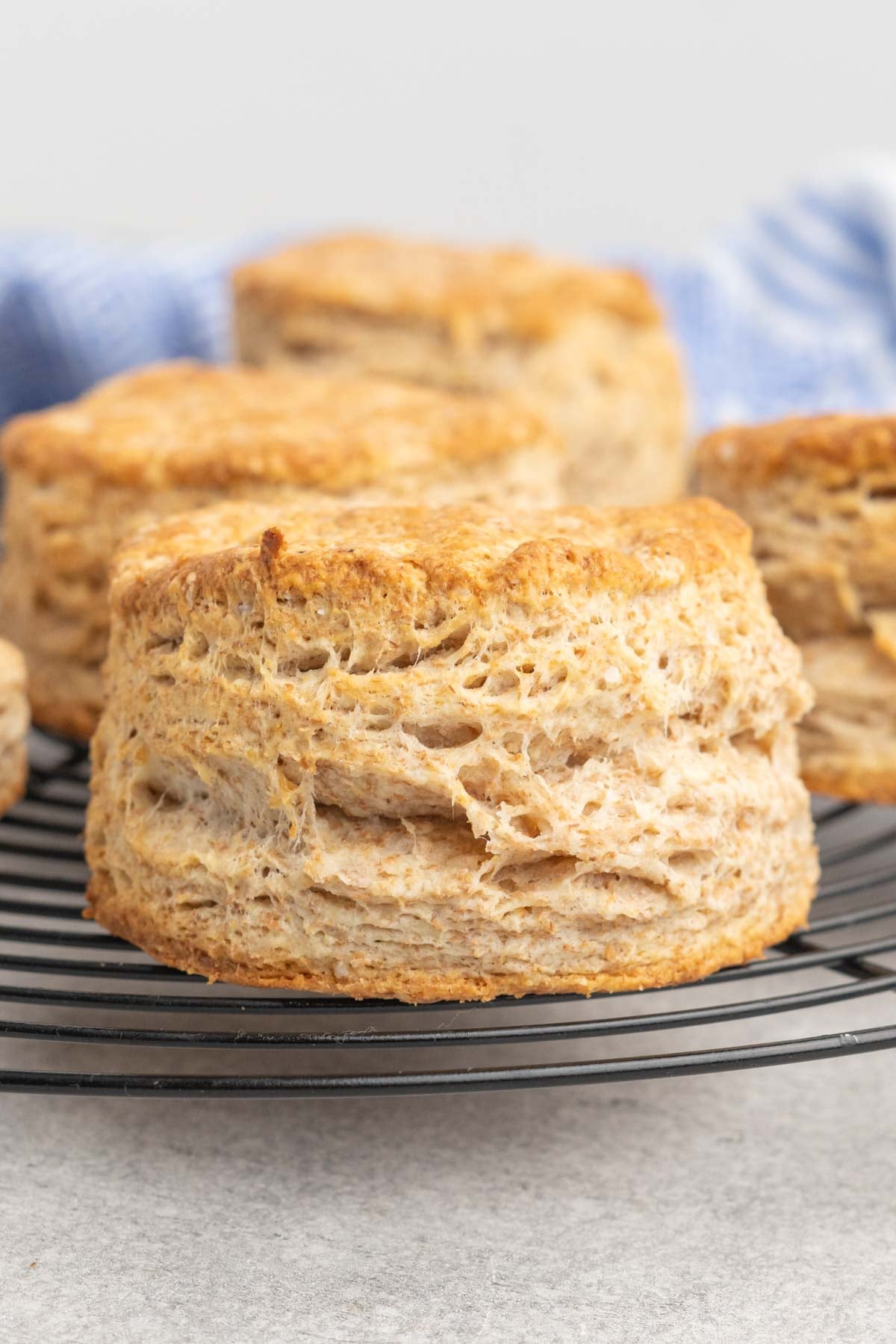 Whole wheat scones on a wire cooling rack.
