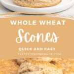 Whole wheat scone on a plate and a platter of scones.