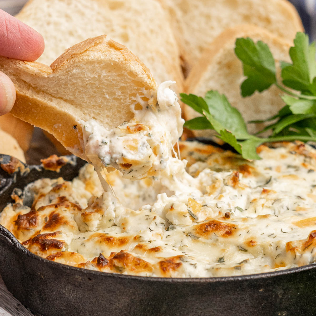 Air Fryer Hot Cheese Dip Tastes of Homemade