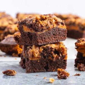 Two sliced of pumpkin cheesecake with brownies with pecans.