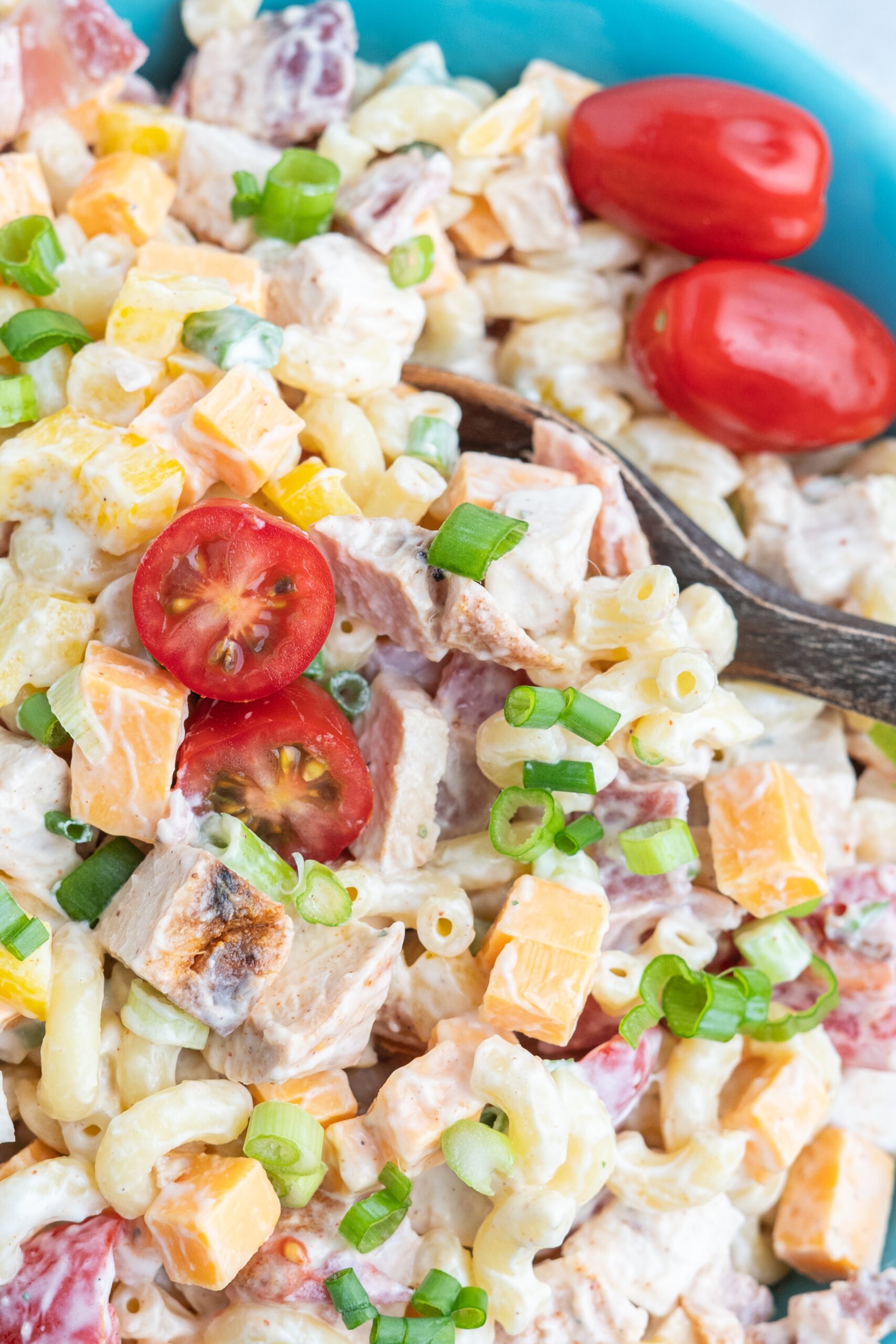 Close-up of pasta salad with cheese, bacon, chicken, and green onions. 