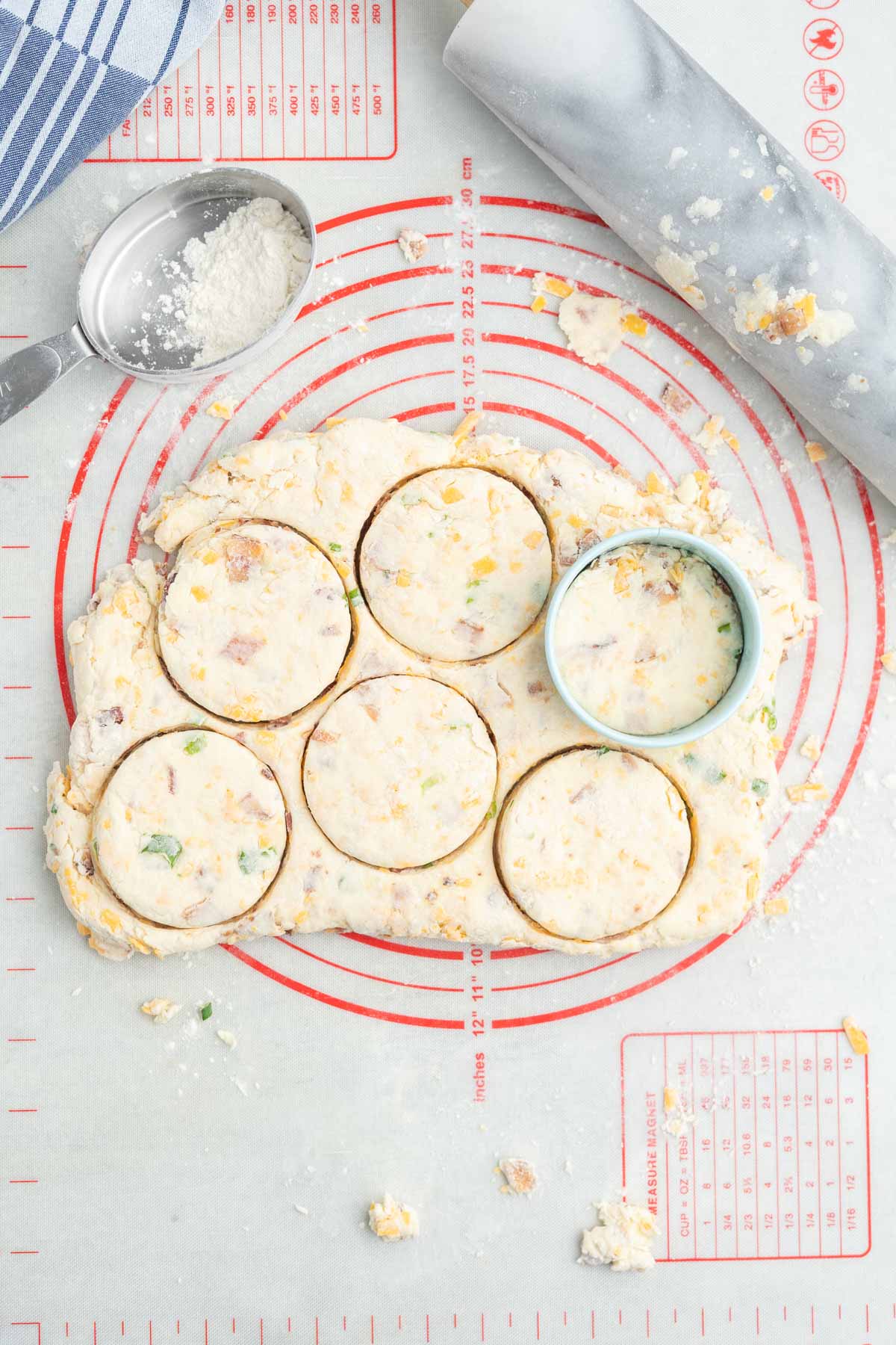 Biscuit dough rolled on a counter and cut with a round cutter.